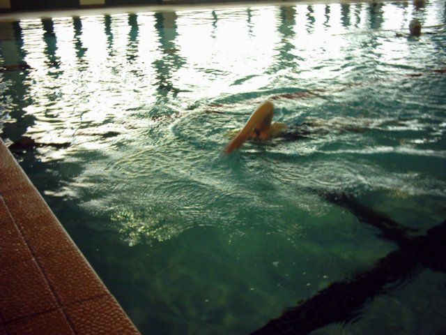 photo61.jpg