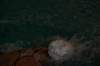 imgp8312_small.jpg