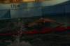 imgp8349_small.jpg