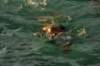 imgp8358_small.jpg