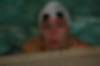 imgp8360_small.jpg