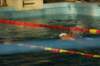 imgp8370_small.jpg