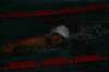 imgp8371_small.jpg