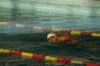 imgp8372_small.jpg