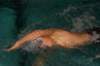 imgp8374_small.jpg