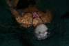 imgp8394_small.jpg