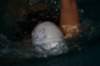 imgp8398_small.jpg