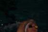 imgp8399_small.jpg