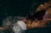 imgp8407_small.jpg