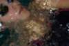 imgp8410_small.jpg