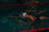 imgp8421_small.jpg