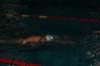 imgp8428_small.jpg