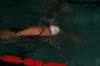 imgp8432_small.jpg
