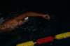 imgp8487_small.jpg
