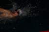 imgp8494_small.jpg