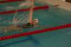 imgp0371_small.jpg