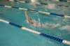 imgp0372_small.jpg