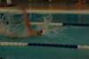 imgp0376_small.jpg