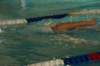 imgp0379_small.jpg