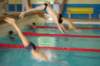 imgp0384_small.jpg
