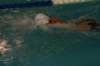 imgp0385_small.jpg