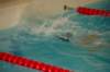 imgp0386_small.jpg
