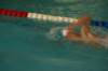 imgp0387_small.jpg