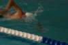imgp0388_small.jpg