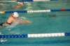 imgp0393_small.jpg