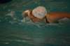 imgp0409_small.jpg