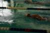 imgp0414_small.jpg
