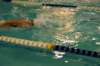 imgp0415_small.jpg