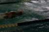 imgp0416_small.jpg
