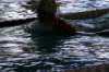 imgp0430_small.jpg