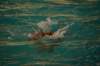 imgp0433_small.jpg
