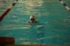 imgp0434_small.jpg