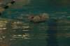 imgp0438_small.jpg