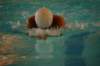 imgp0439_small.jpg
