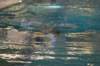 imgp0442_small.jpg