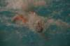imgp0443_small.jpg