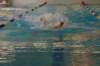 imgp0444_small.jpg