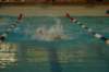imgp0446_small.jpg