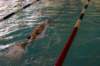 imgp0448_small.jpg