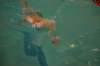 imgp0449_small.jpg
