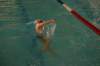 imgp0450_small.jpg