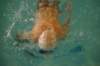 imgp0451_small.jpg