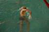 imgp0452_small.jpg