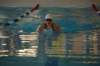imgp0453_small.jpg