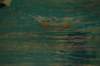 imgp0456_small.jpg