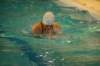 imgp0464_small.jpg